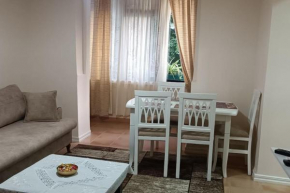 Glamour apartment